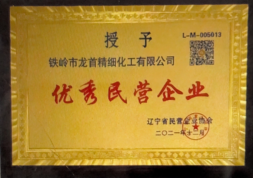 優(yōu)秀民營(yíng)企業(yè)